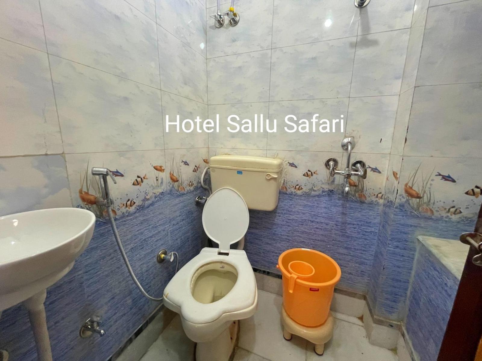 Hotel Sallu Safari Джайсалмер Екстериор снимка